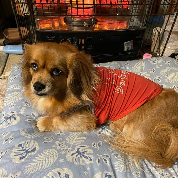 4687e733 bf4a 4f82 83e9 d1eea4946d0e 1609969628447