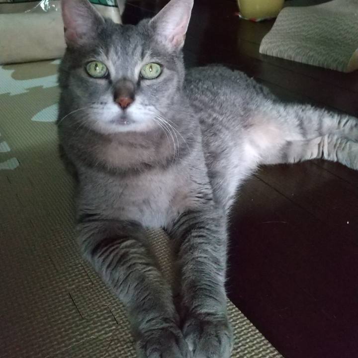 468833e6 c33c 4e3c 8f19 30476c35bd85 1720329276133