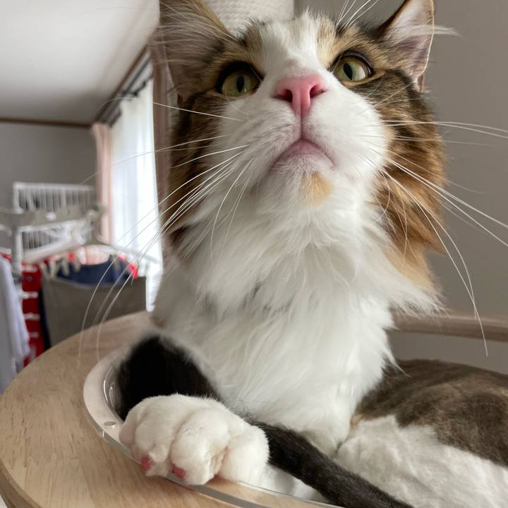 46884ff9 727b 43e2 b139 07cfbc6bc3c5 1658700346137