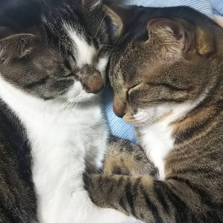 46885fd3 5549 410d 96ce eb51b1fb980f 1606832234050