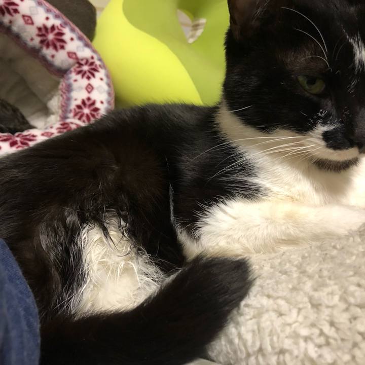 468878b6 f165 4f0e b81e 71a5651211a7 1605646595234