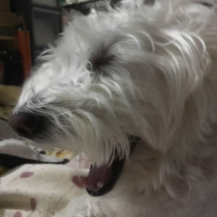 4688b01f 4072 4ad8 bb61 90594f671dbb 1557855615907