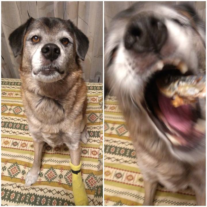 4688ff6d 97da 4804 b69d 1e6a569326d7 1546945816501