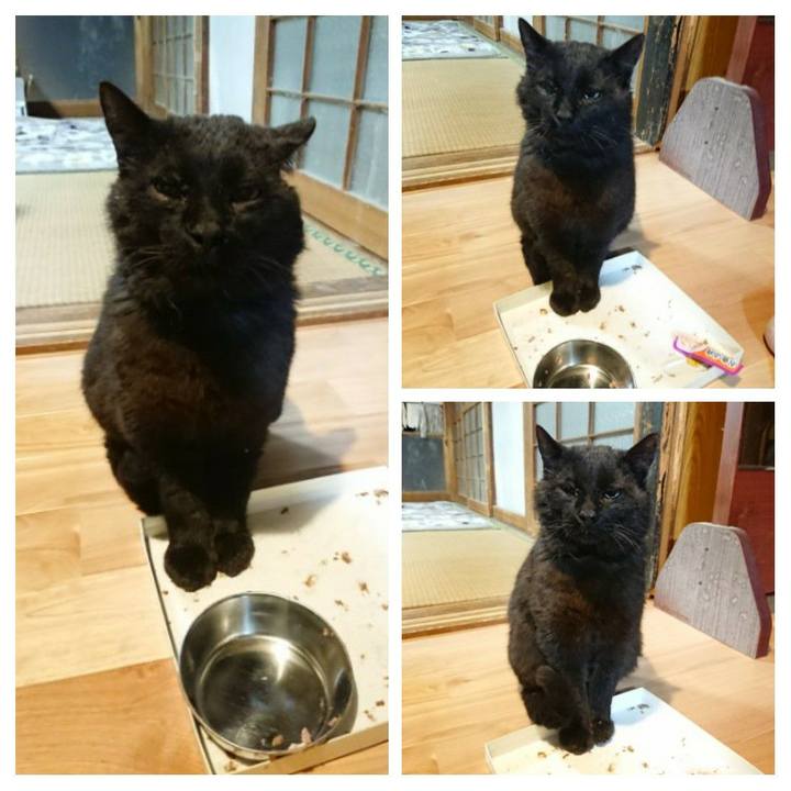 4689221a 61b0 43f5 825f dd3301fa5b1d 1620831874221