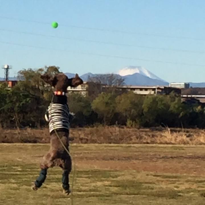 468927df f154 480b 98f7 f5de94731572 1513061934249