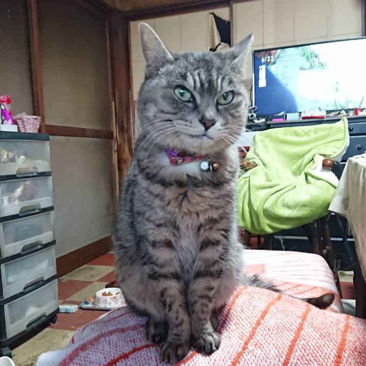 46894a59 b030 46fb a8f4 ec7dc44c2557 1584222352364