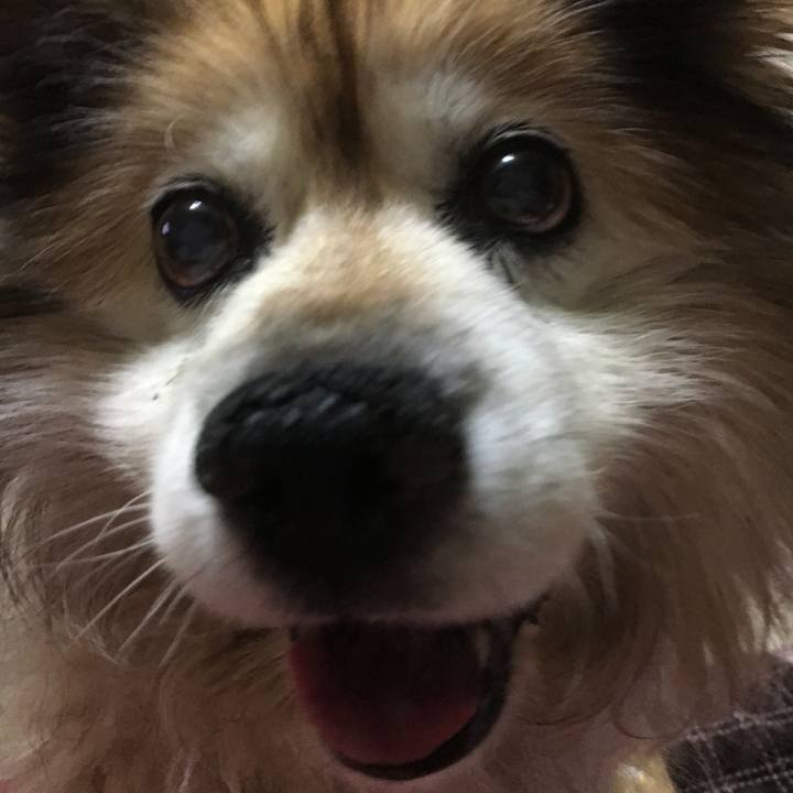 46899244 e1e3 4faf 99b5 9a7fb46bc5c4 1590112174478