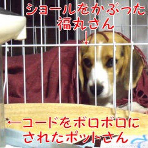 4689b45c 7e67 4c30 870e dc687bbd1800 1681518423116