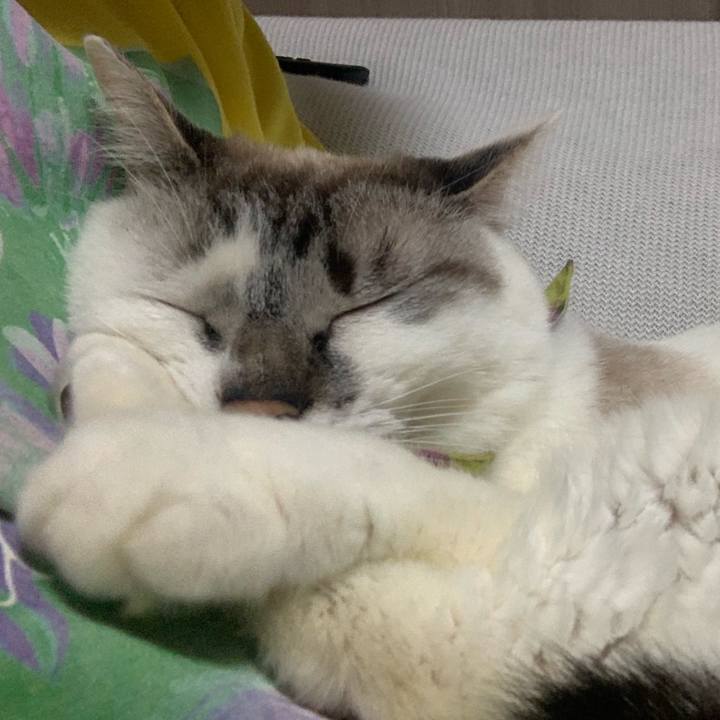 4689bd3e 77f4 46bd a1e0 15c0825014d1 1564845034352