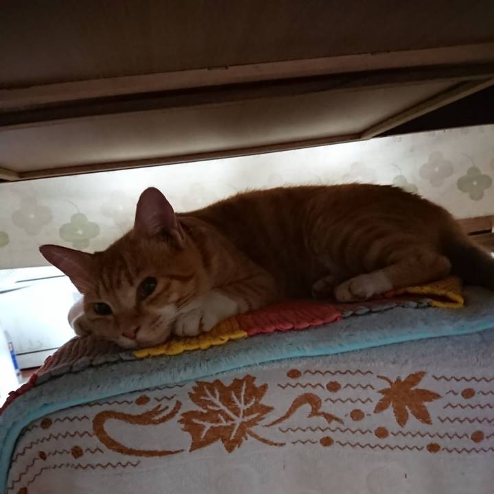 4689c9d3 157b 4a45 920c 308134abf2a8 1566332119275