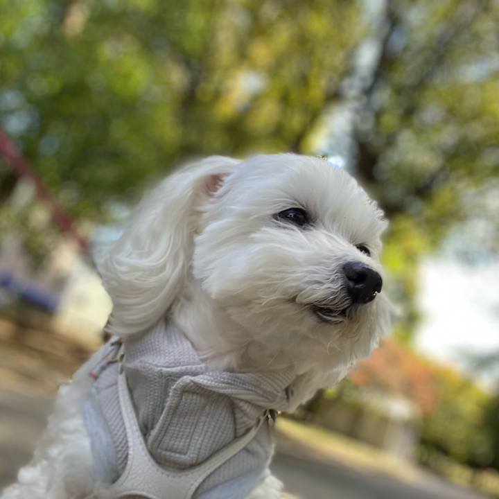 4689df2a 0015 4e2d b7d7 91aed2c2571f 1667717983863