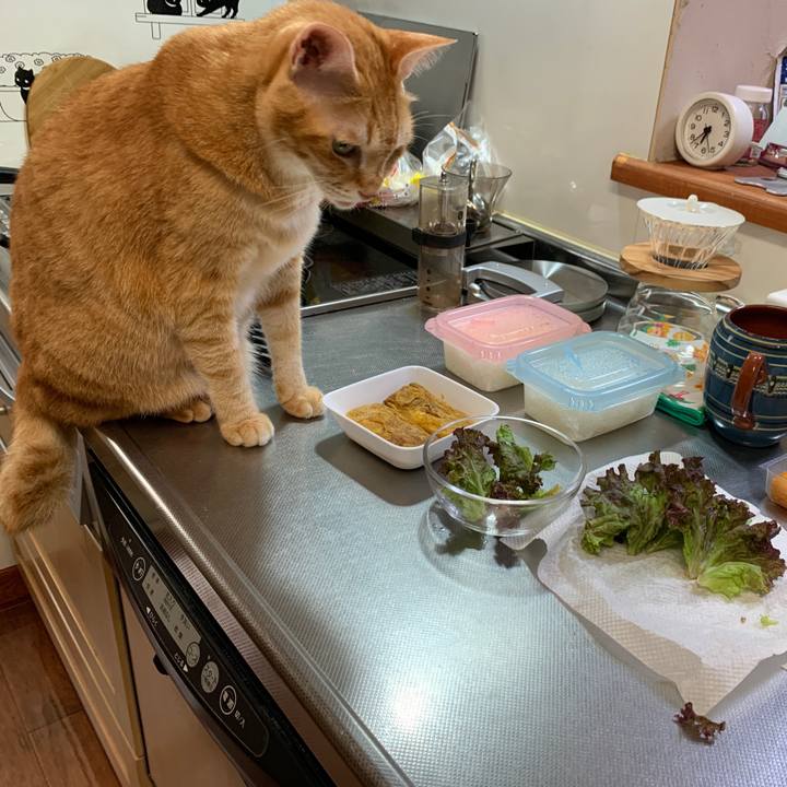 4689e30a 342c 42f9 94bc 576f8c9c040e 1664193849932