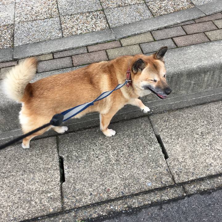 4689ec00 06dd 4e69 851b 0c0b0ce14a89 1530054158752