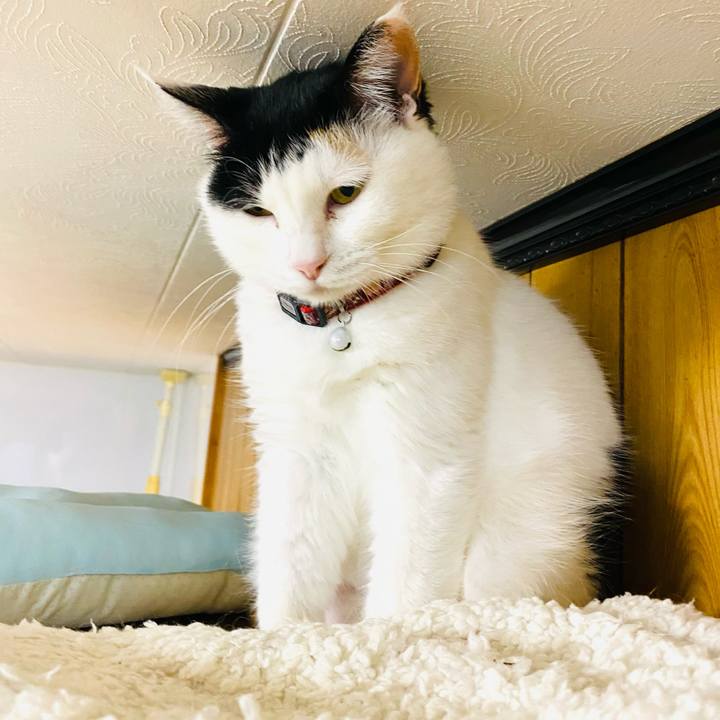 468a07b0 5b31 4121 b1e4 40faa891054f 1683324607727