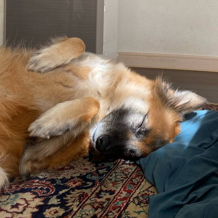 468a18a3 6f97 4c45 b173 64c1c3e49004 1769137672976