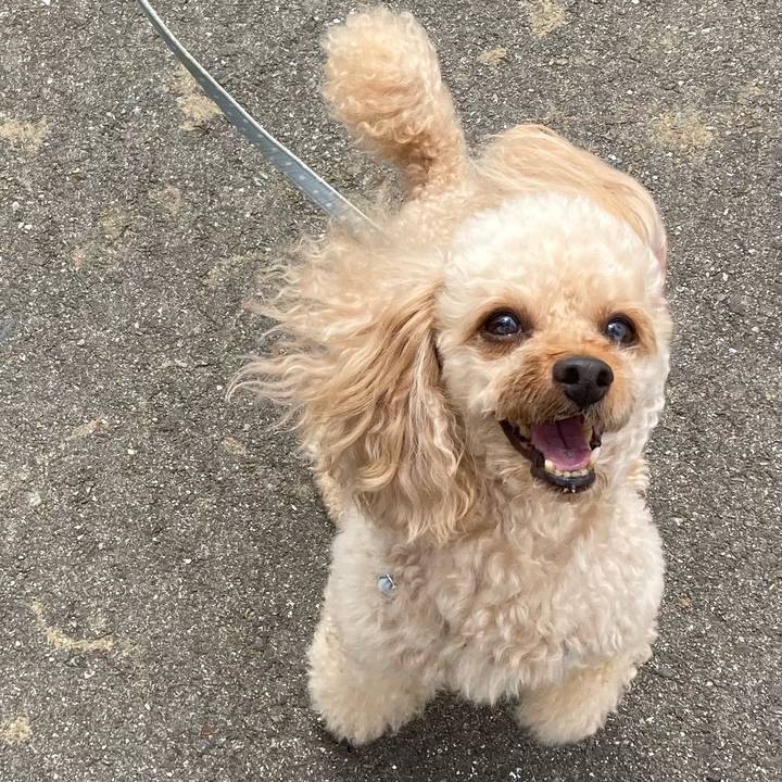 468a65eb cc41 49e1 ac92 2215a49d4f42 1629279560443