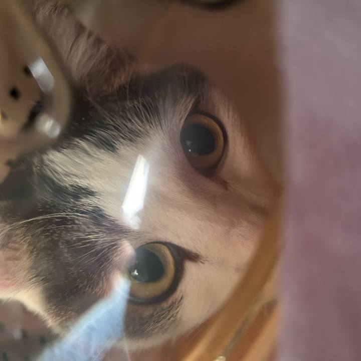 468a7ab8 4099 4c2a 8387 82edd99ece46 1737943473052