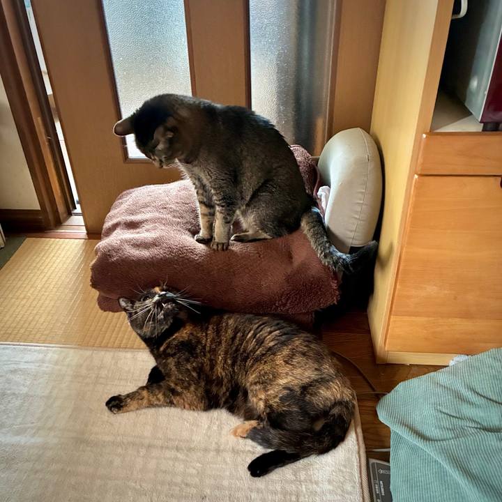 468ada51 be74 40b5 9fcd e5b00e608b78 1750468535637