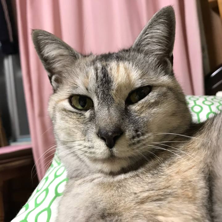 468ae9cd 2038 4b5f b2f7 241d2423c14c 1551278100290