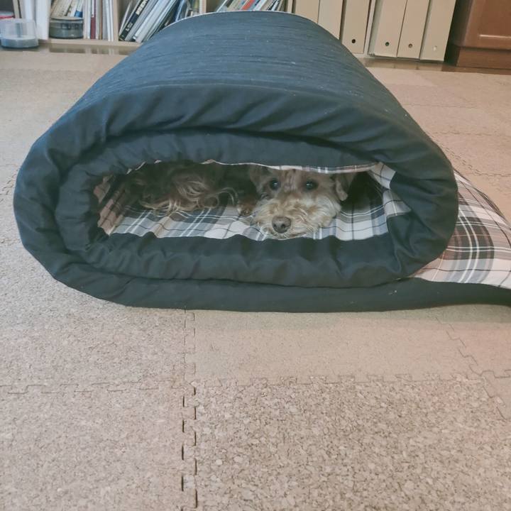 468aee72 7c2d 40d9 8720 6c9cf8ddd558 1613513757092