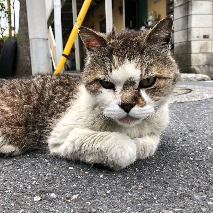 468afa2b 50fc 4b8e 9b65 fcdc24c74781 1529584292882