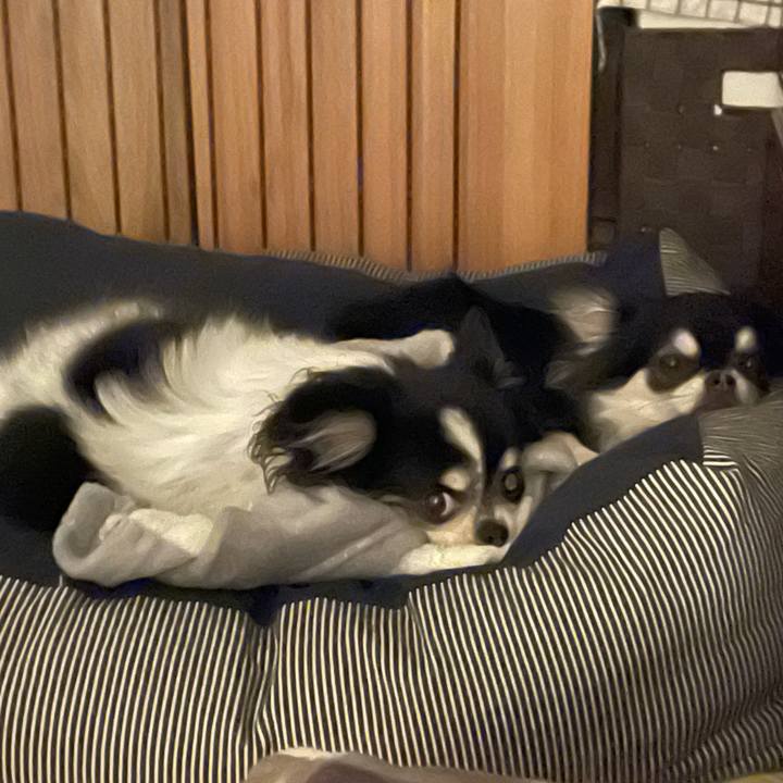 468b4bcf 1284 4fb1 a64b 750df71b70f5 1762582376166