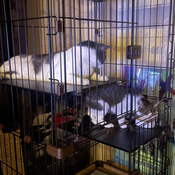 468b59bc c48d 404d ae68 604e5e4c9883 1629544327819