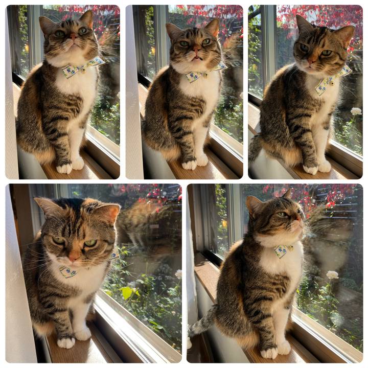 468b8db2 1b7b 4559 bbdd 573f09b8b497 1764467343113