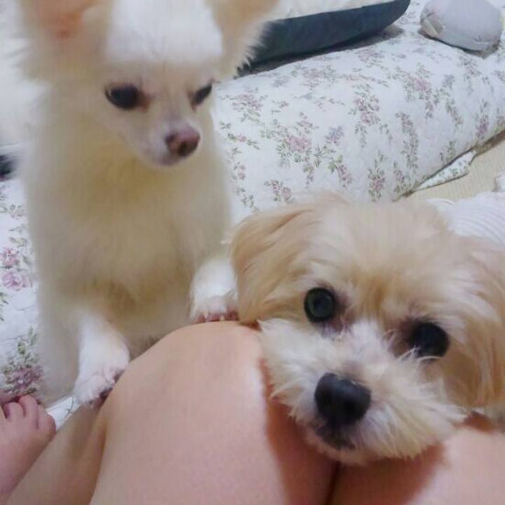 468bafad 1dbf 4d7d 96f3 f6e5d47bd1f5 1538567160489