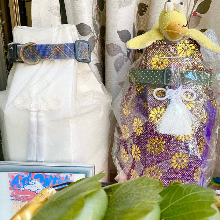 468bbe15 2294 4001 9eea e8473637d721 1714867123718