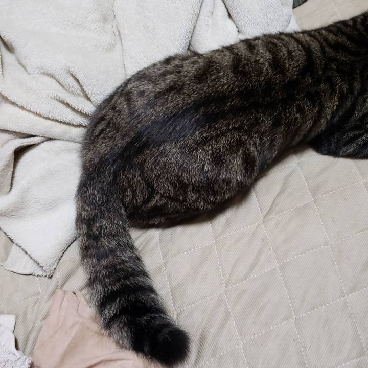 468bd053 6669 4b26 8277 cd1aa7f8315a 1542421440110