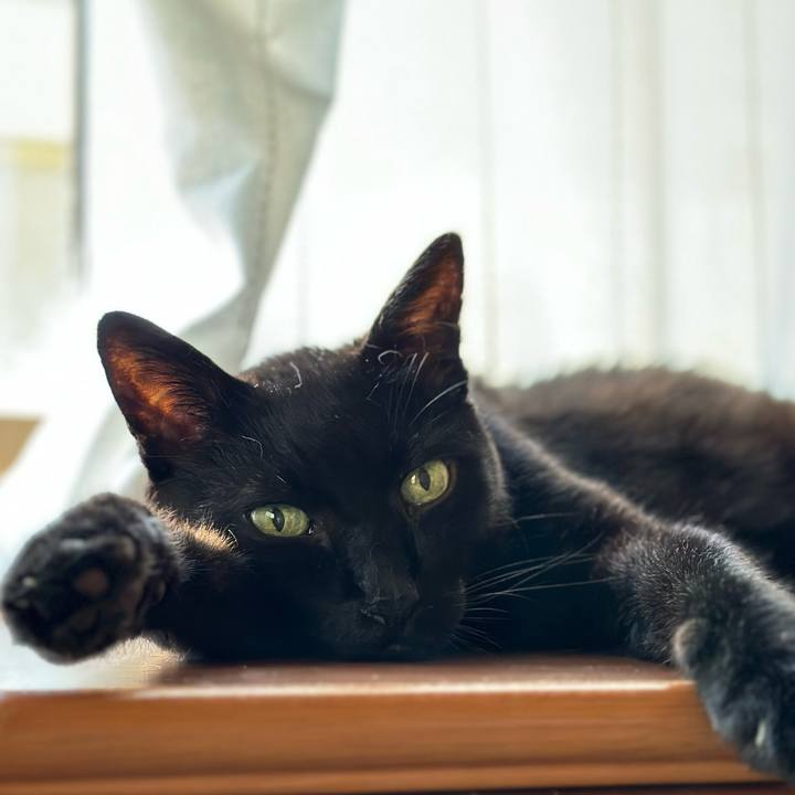 468c008e d5fe 454f bd91 6c8ec40f9707 1689472918454