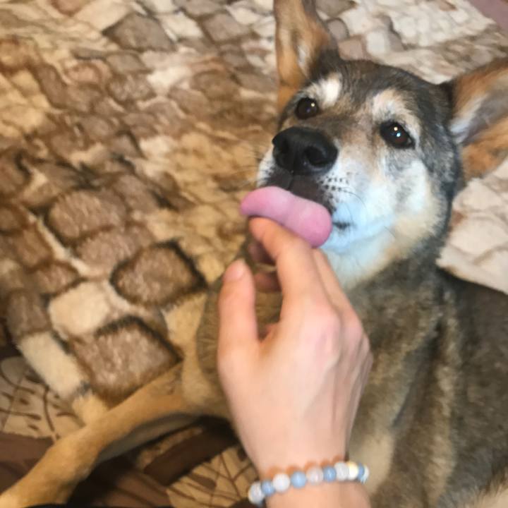 468c1197 7156 468c a983 893ece46ba54 1527311468186