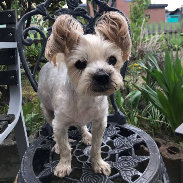 468c2fe9 7a14 424c b377 c0063afc5359 1559002234151