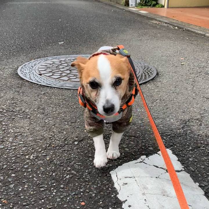 468c8a2b 48d4 4639 b4a2 a9f31ec80afb 1647652591235