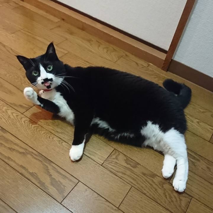 468ca586 59dd 4804 9921 59db4bfbccfe 1544442726940