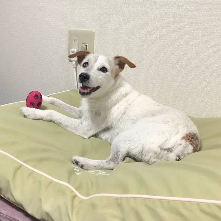 468cbdf5 3f4b 442b 882b da80f1b9e5a2 1538747861408