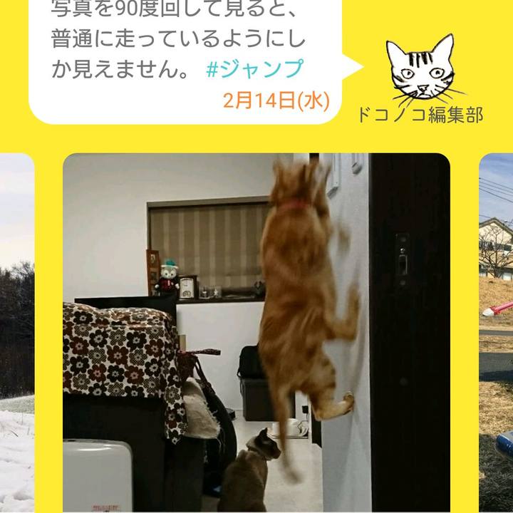 468ce3bc f9ea 458b b09f fa25a6b31296 1518596464790