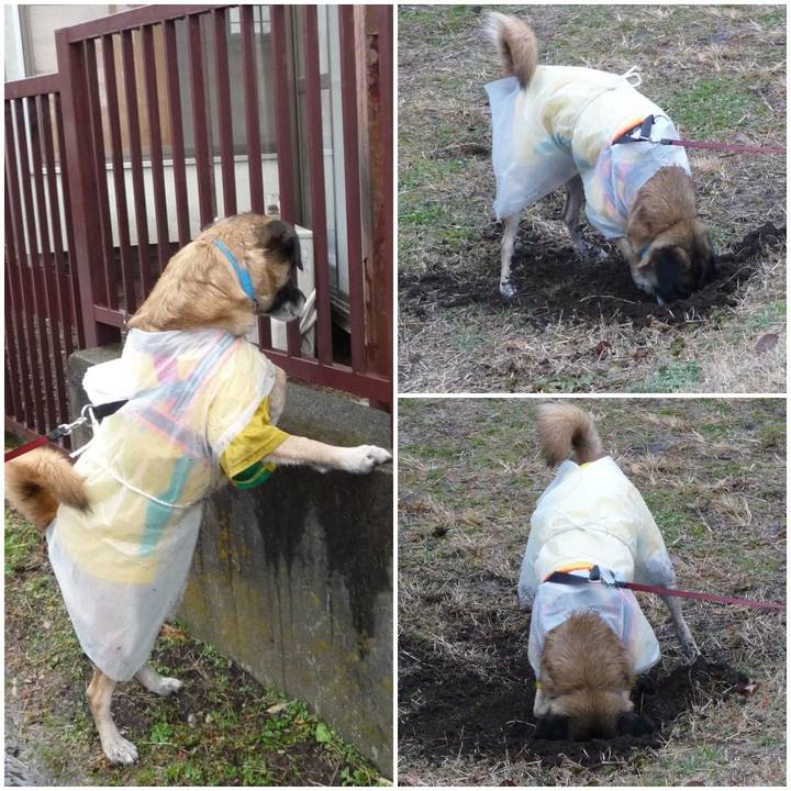 468d13eb e4c9 4ee1 8a85 d1aa1a125a60 1578437372561