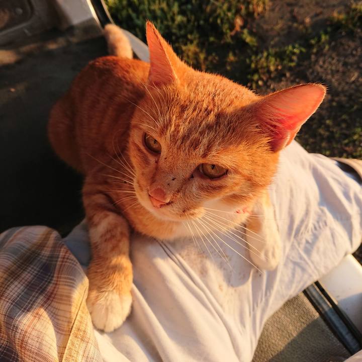 468d7945 8e86 4877 93d8 fc23dd7ec16f 1568667748455