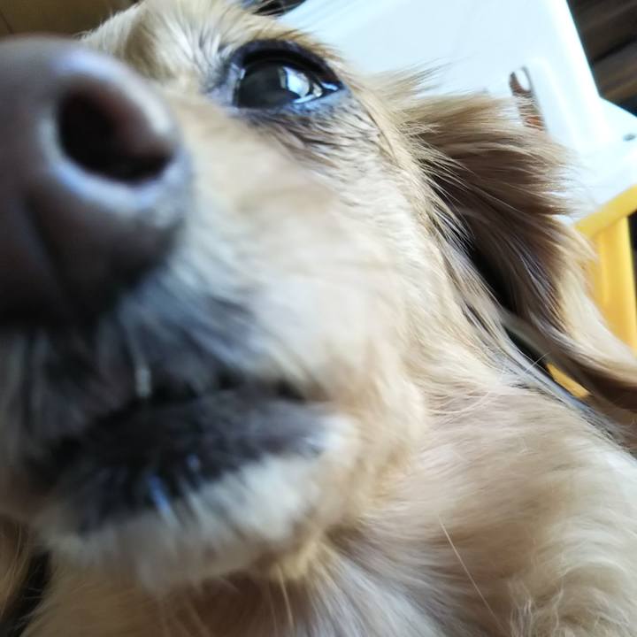 468db7ad 9e28 4cef 99ad a1411ca9f17a 1584240943880