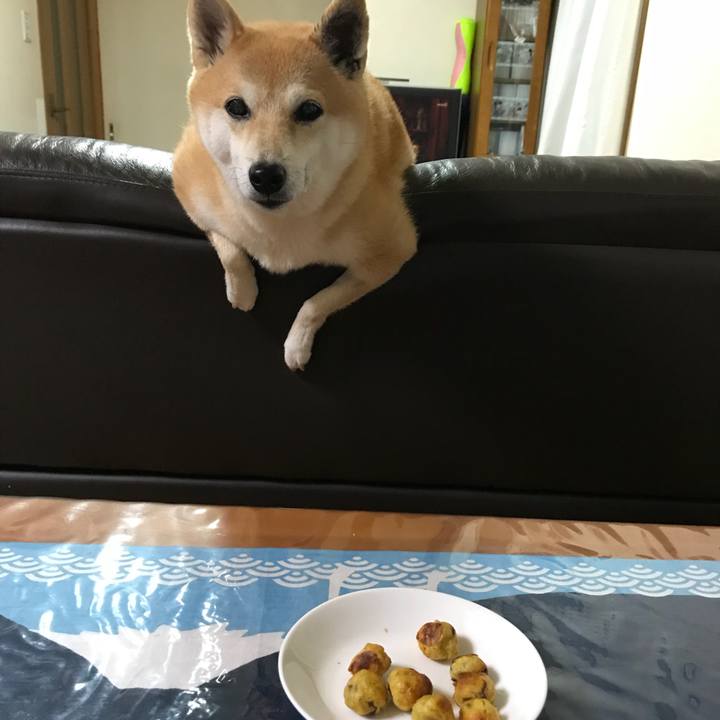 468dbaa8 26e3 4d46 9c2a ff741480aa45 1512218641976