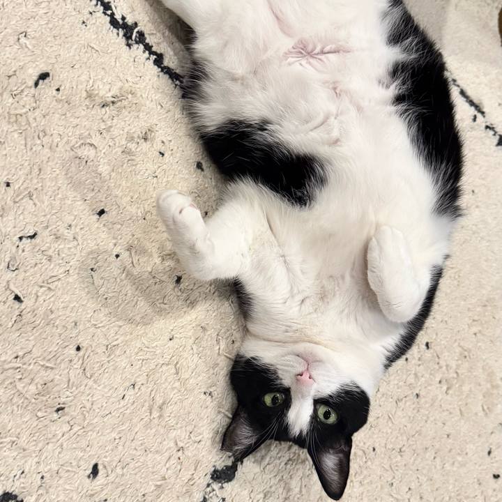 468e13e4 982f 4b39 b1d2 82a373d45be2 1766277673627