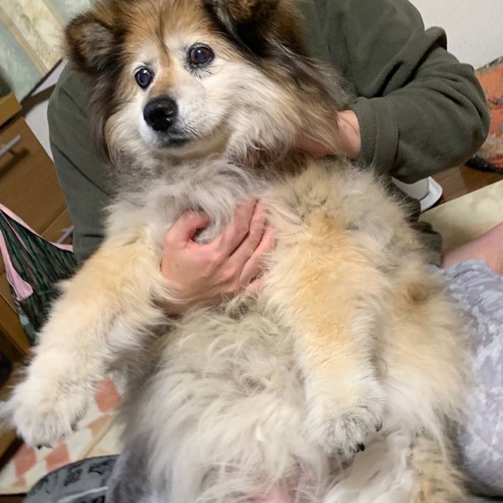 468e5251 1bd9 4321 8920 0bc5d40d383e 1547809440745