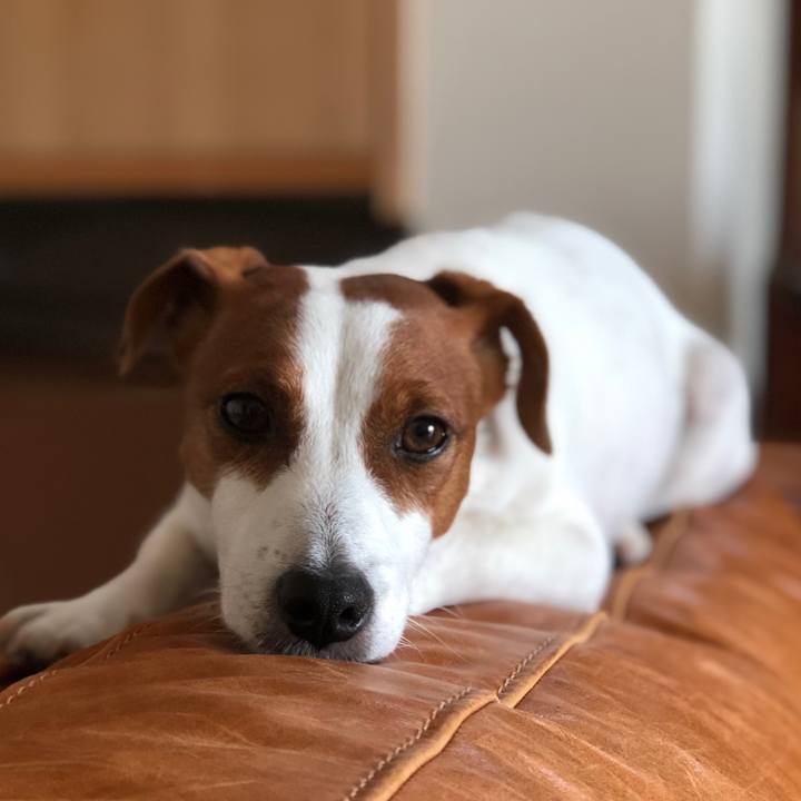 468e92f5 2911 4e63 96e6 54ec3d5bb4e8 1592980065928