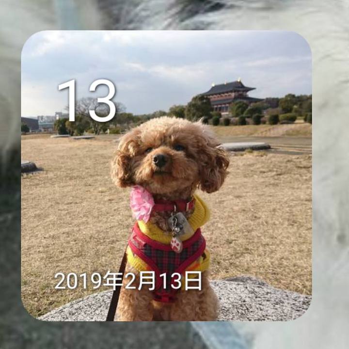 468ed5d6 8dc3 4942 942e d4feee28618e 1676251336883