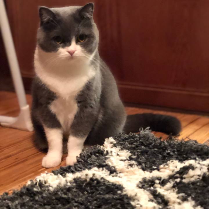 468ee9d9 f853 4b27 9aca be573d264eae 1572355314542