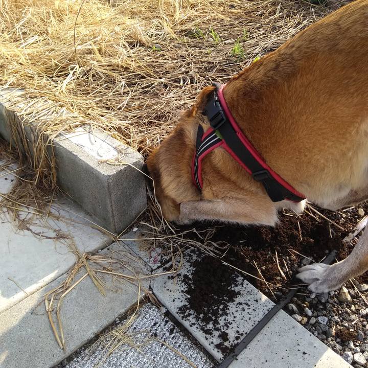 468ef82a e636 49d6 97f2 64eaca0ddb1c 1568158593738