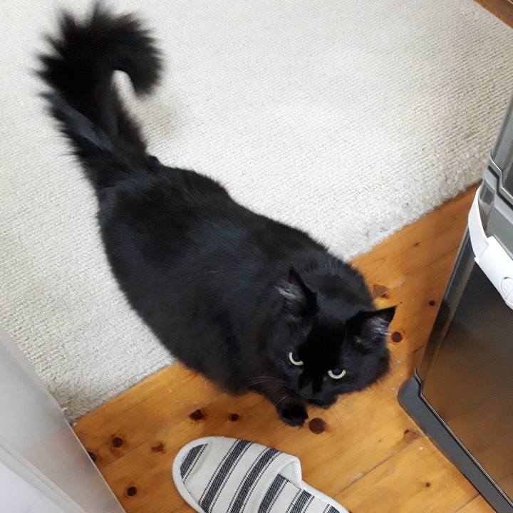 468f08dc 8095 4b92 8a83 de124ccae74a 1519761154609