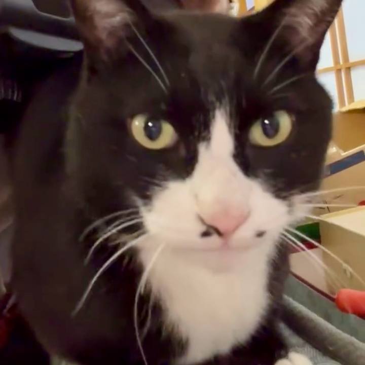 468f0c1d e0ef 417d a921 124246460a88 1744942860087